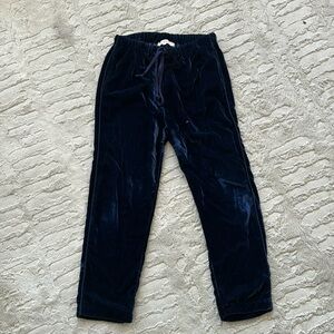Blue velvet Xirena pants